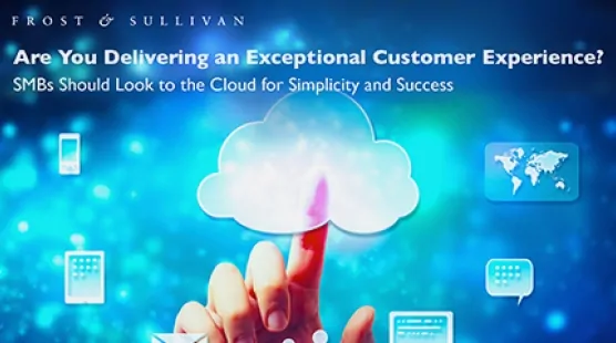 14484070 thumb mash frost sullivan are you delivering best cx eb resource center en 1